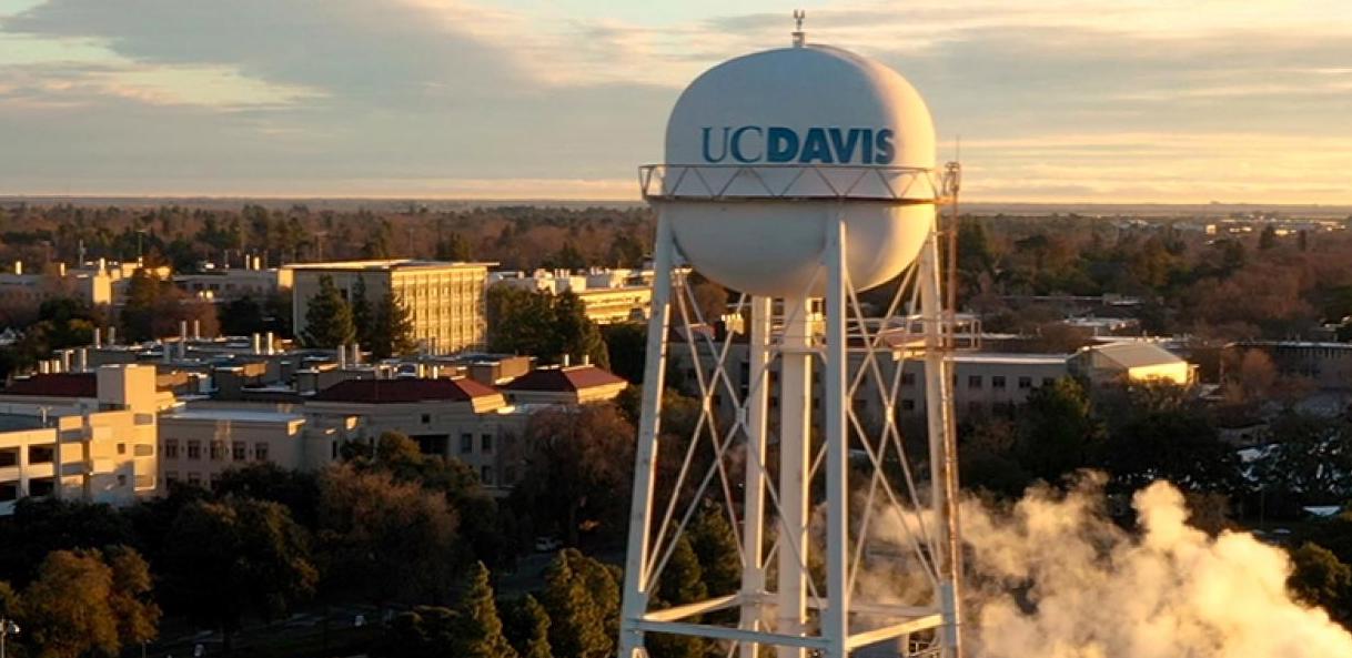 The University of California - Davis